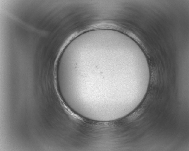 X0000067521478200604150147