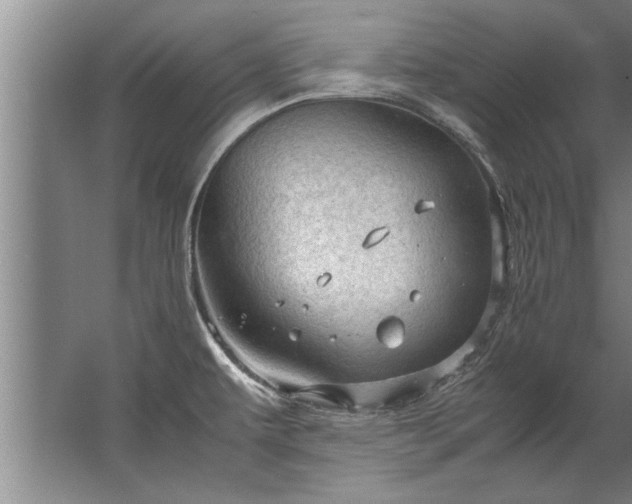 X0000067521479200604150147