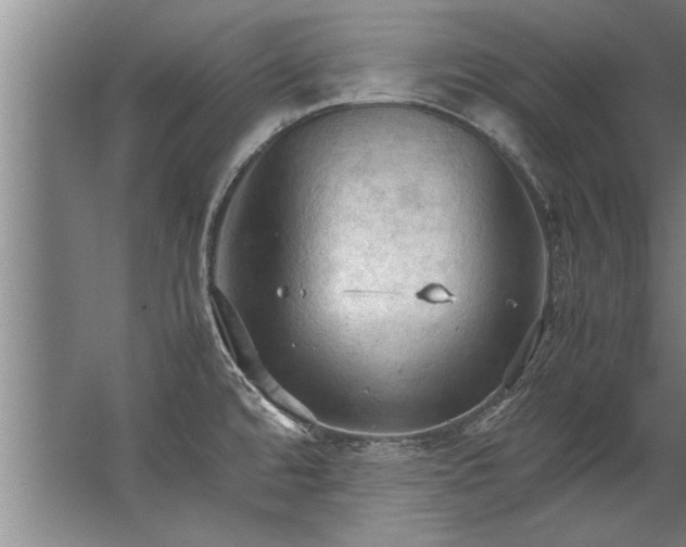 X0000067521480200604150147