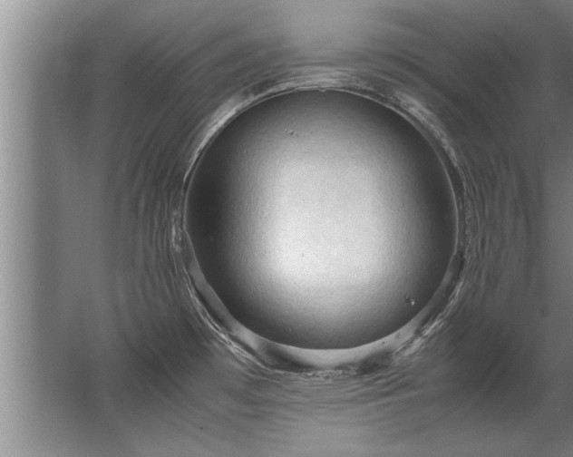 X0000067521481200604150147