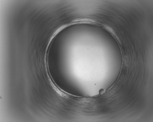 X0000067521482200604150147