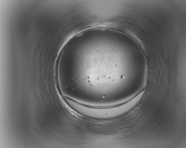 X0000067521483200604150147