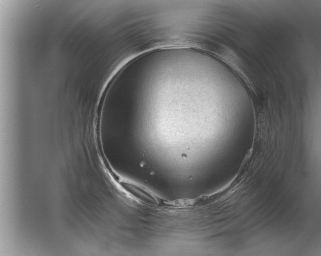 X0000067521484200604150147