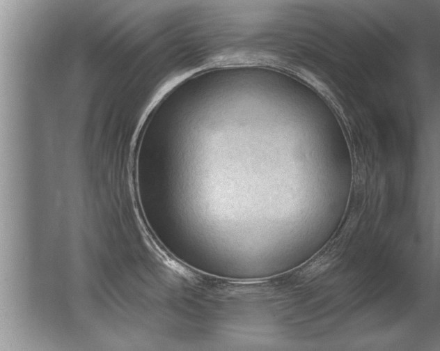 X0000067521486200604150147