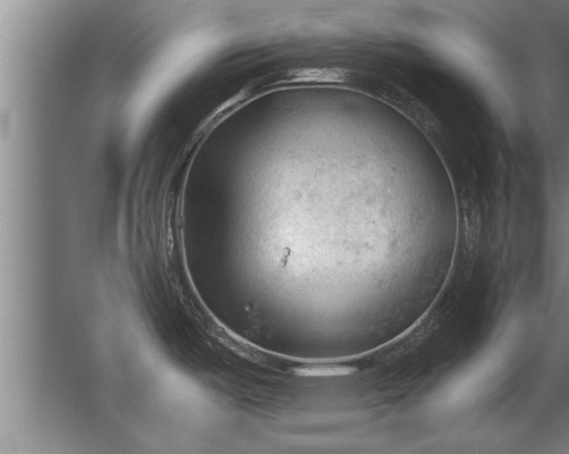 X0000067521487200604150147