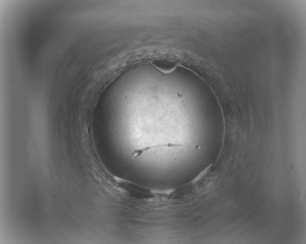 X0000067521489200604150146