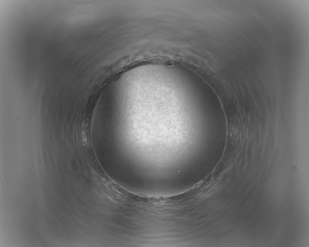 X0000067521490200604150146