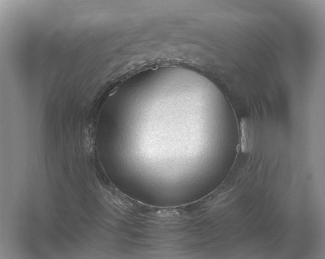 X0000067521491200604150146