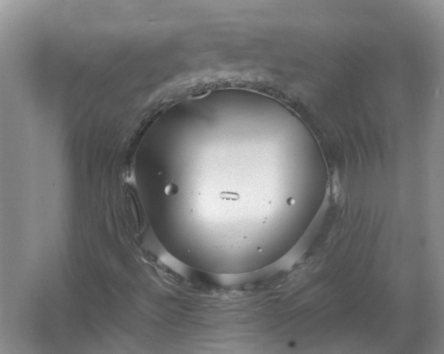 X0000067521492200604150146