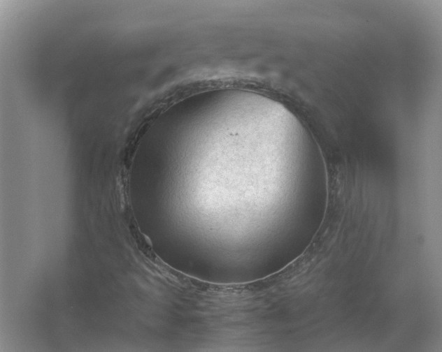 X0000067521493200604150146