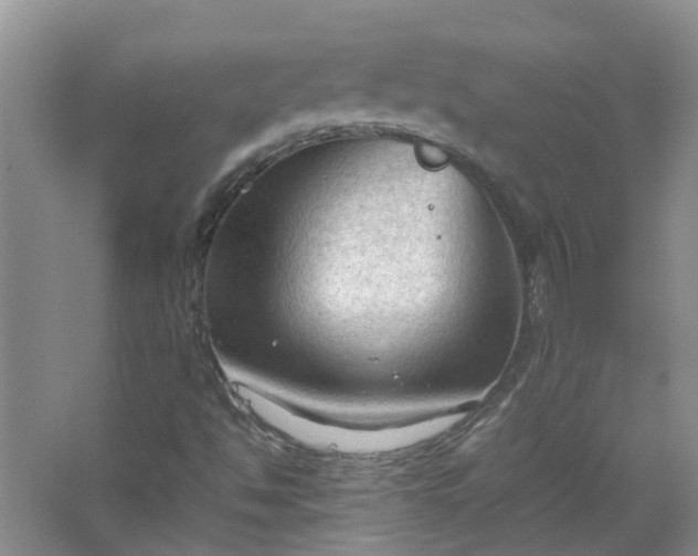 X0000067521494200604150146