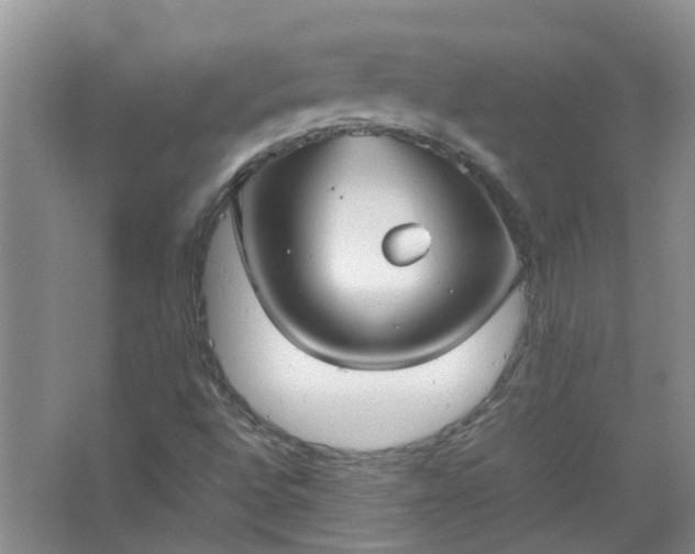 X0000067521496200604150146