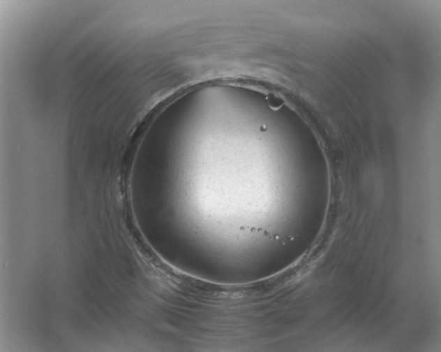 X0000067521497200604150146