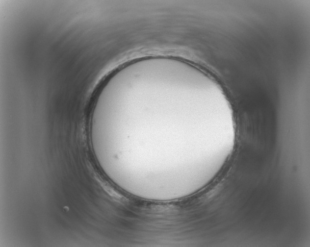 X0000067521498200604150146