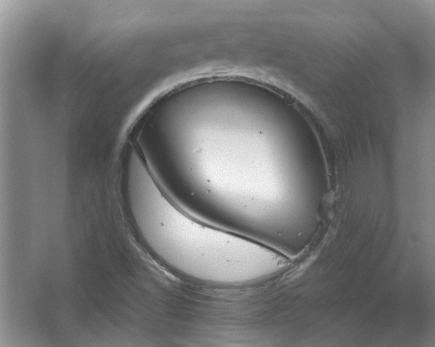 X0000067521502200604150146