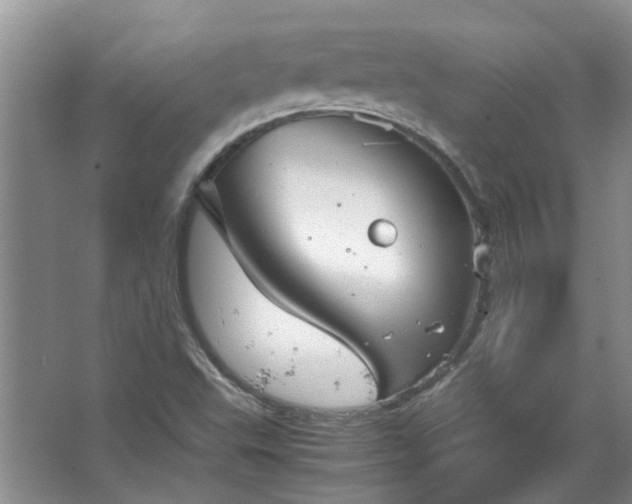 X0000067521503200604150146