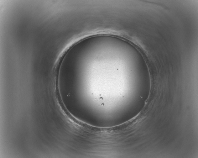 X0000067521504200604150146