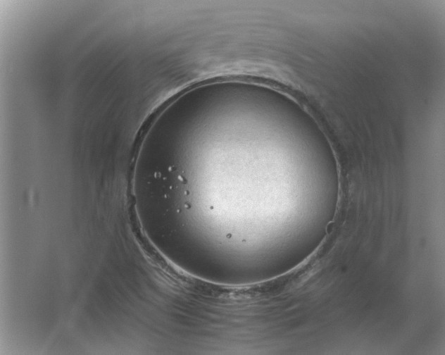 X0000067521505200604150146