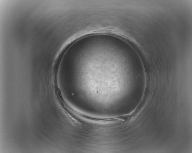 X0000067521506200604150146