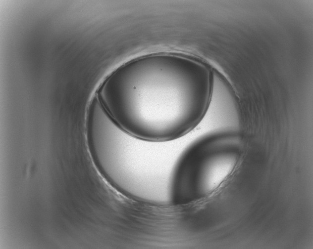 X0000067521508200604150146