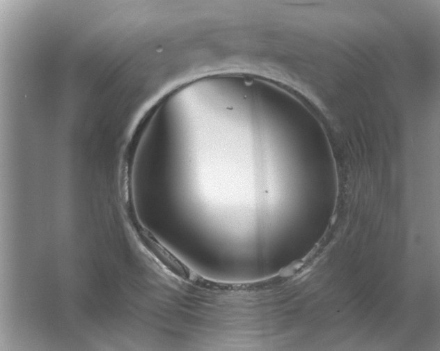 X0000067521510200604150146