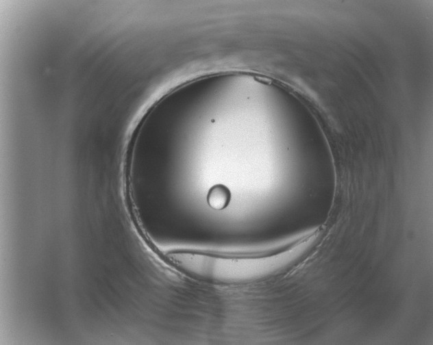 X0000067521512200604150146