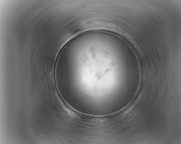 X0000067521513200604150146