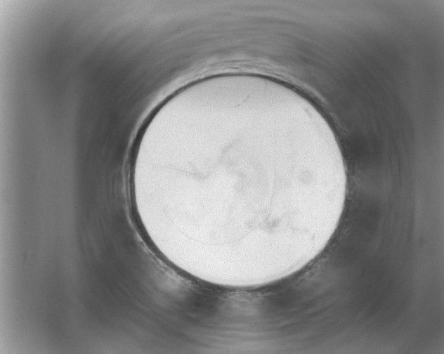 X0000067521514200604150146