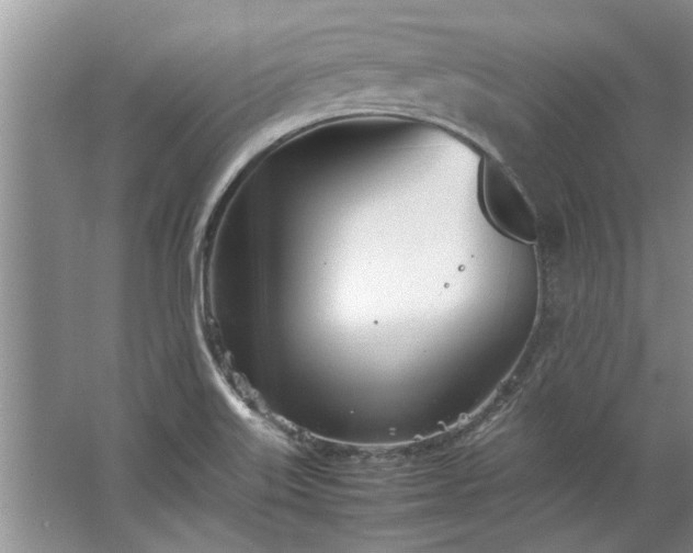 X0000067521515200604150146