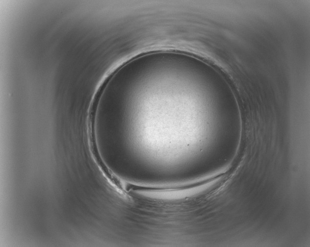 X0000067521517200604150146