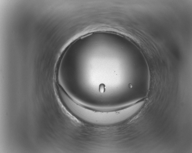 X0000067521518200604150146