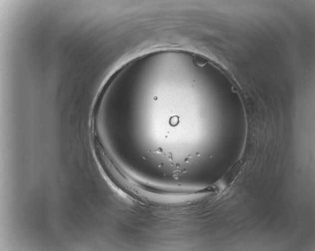 X0000067521519200604150146