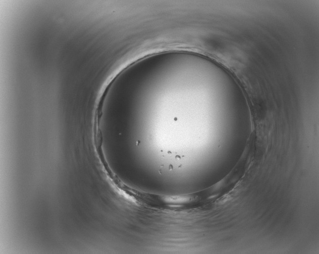 X0000067521520200604150146