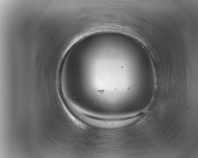 X0000067521523200604150147