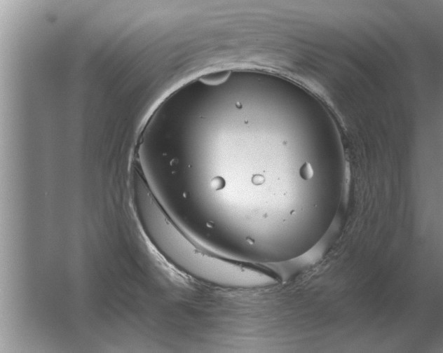 X0000067521524200604150147