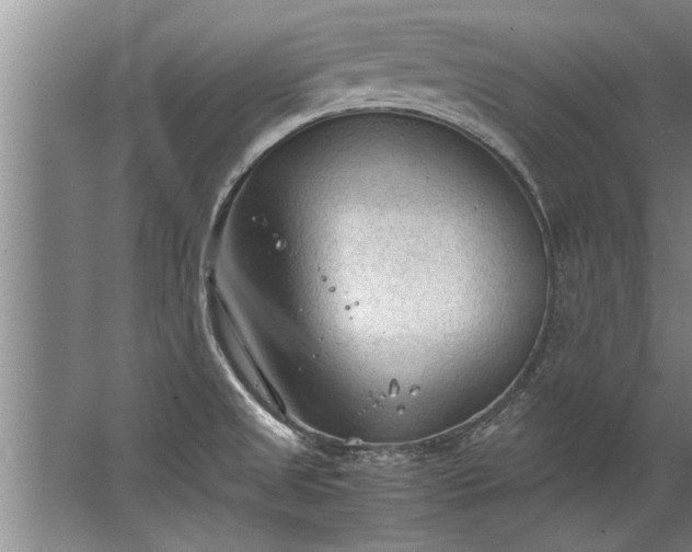 X0000067521525200604150147