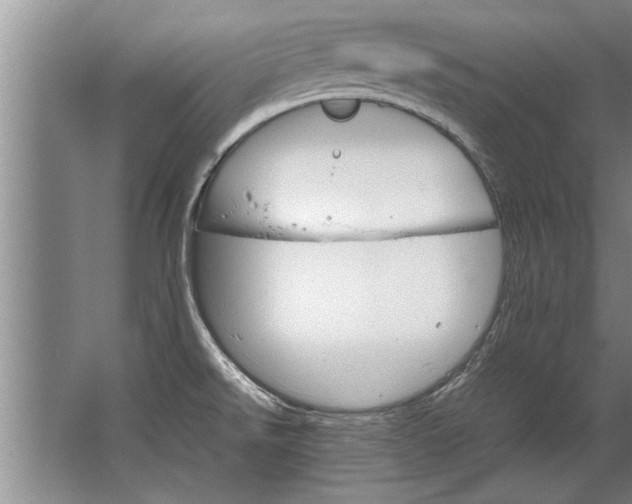 X0000067521526200604150147