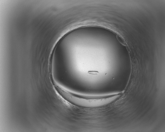 X0000067521527200604150147