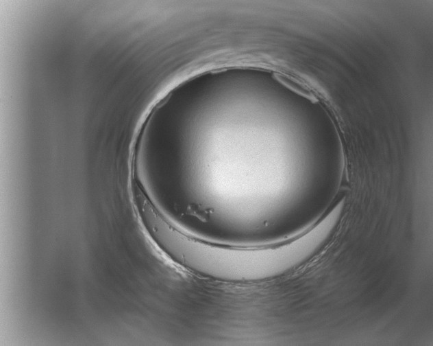 X0000067521528200604150147