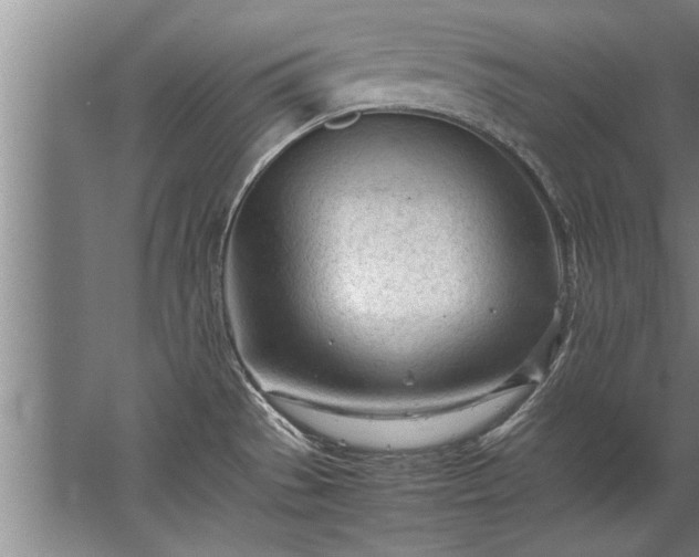 X0000067521529200604150147