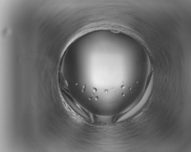 X0000067521530200604150147