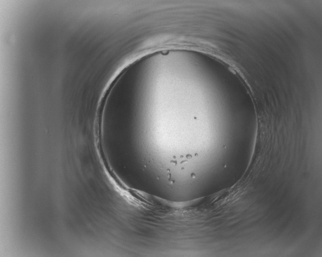 X0000067521531200604150147