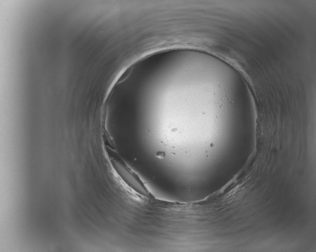 X0000067521532200604150147