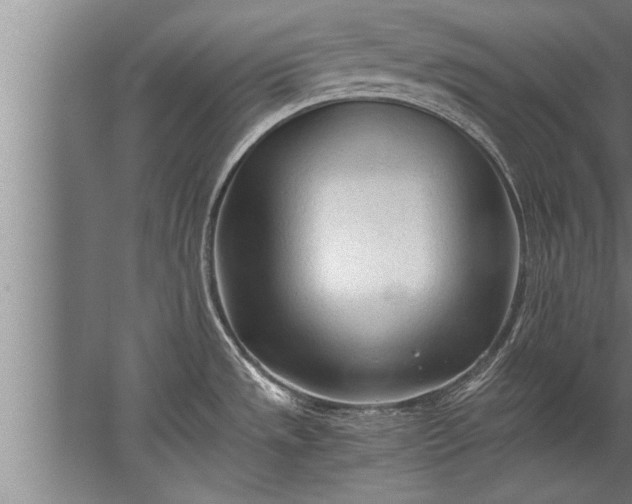 X0000067521533200604150147