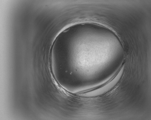 X0000067521534200604150147