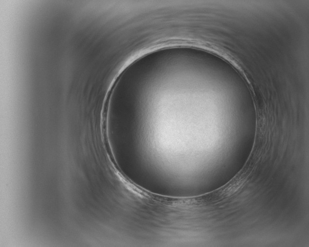 X0000067521535200604150147