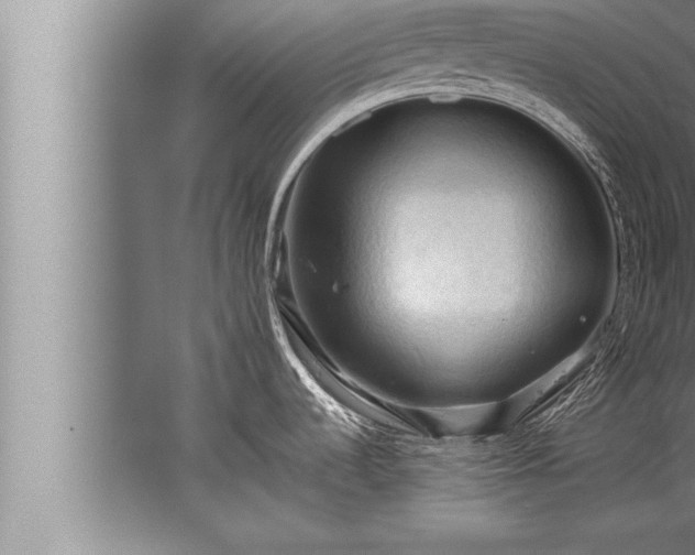 X0000067521536200604150147