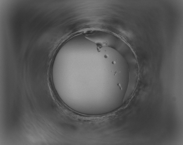 X0000067520001200604211829