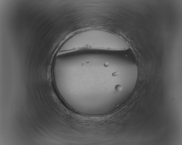 X0000067520002200604211829