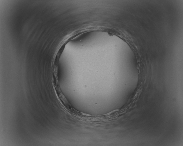 X0000067520003200604211829